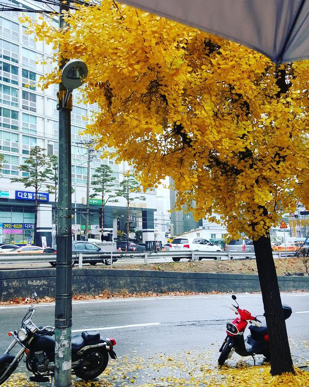 Feliz Guesthouse, Seoul Station Екстер'єр фото